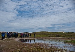 The Fresh Water Ponds of Sable Island