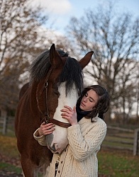 Clydesdale with People