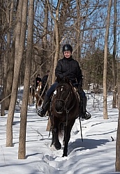 Winter Trail Riding Vertical