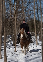Winter Trail Riding Vertical