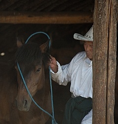 The bond between herdsman and horse