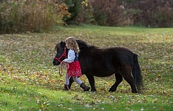 Girl with Miniature Horse