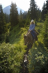Trail Riding Quarter Horse with Dog Wild Deuces Womens Retreat