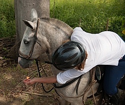 Ali feeds her horse Cantaloupe on the Trail