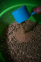 Adding Flax Seed to Grain