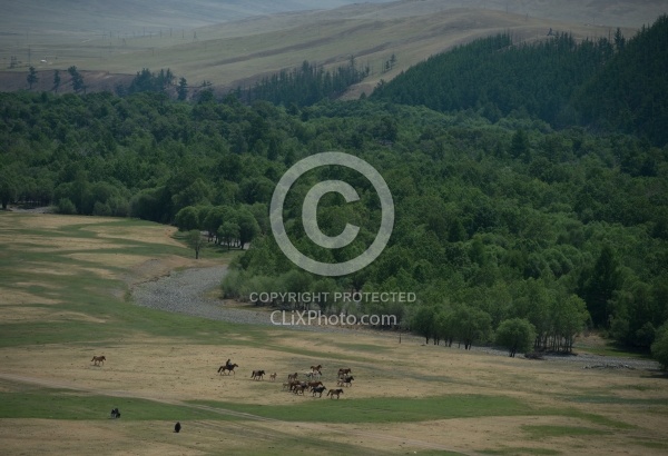 View of a herdsman from the lookout