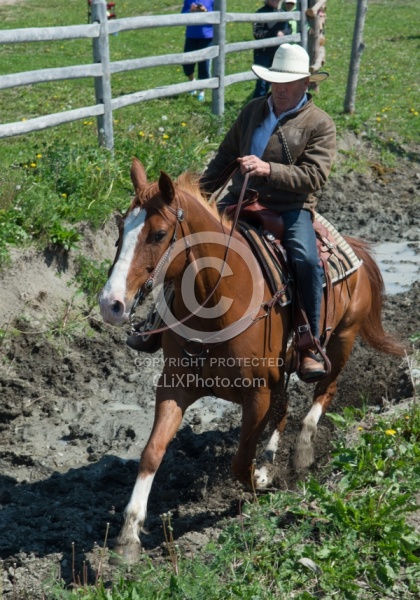 Extrme Cowboy Clinic with Lantz Mclaren at Horse Country