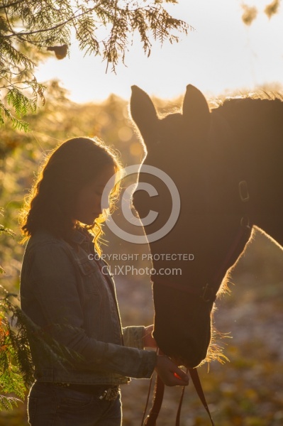 Horse and Human Bond Standardbred