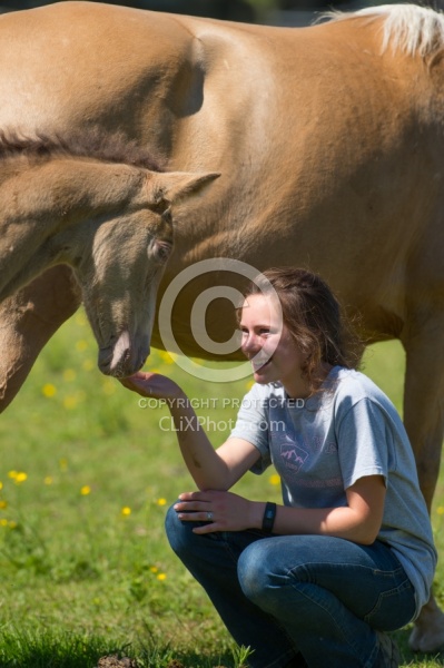 Rocky Mountain Foal Bonnie View Farm