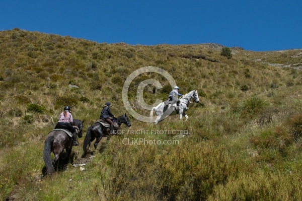 Mountin View Ride in Auriri Conservation Area Riding in Ahuriri Conservations Area with Wild Women Expeditions and Adventure Horse Trekking New Zealand