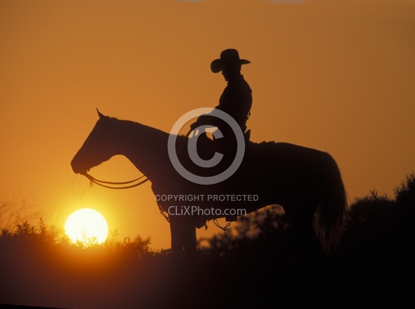Silhoutte of Western Horse and Rider